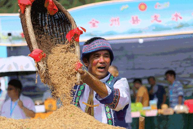 广西大蒜最新价格-广西大蒜现时行情