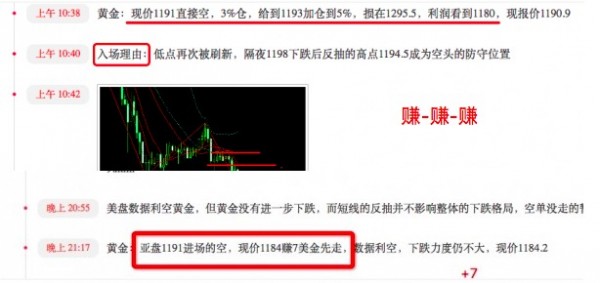 新澳精准资料免费提供网站｜新澳精准信息免费获取平台｜广泛讨论落实方案