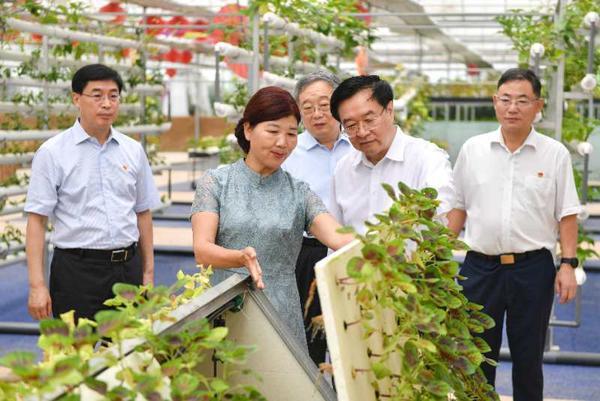 孟津新闻今天最新消息-孟津快讯今日焦点