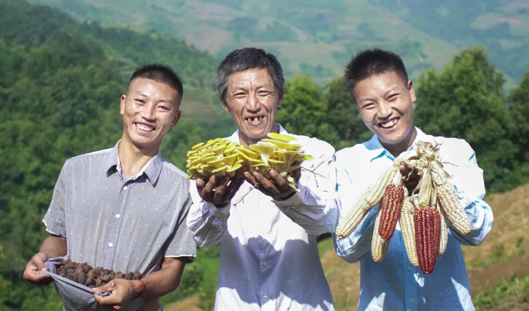 焦点访谈最新联系电话｜最新获取焦点访谈联系方式