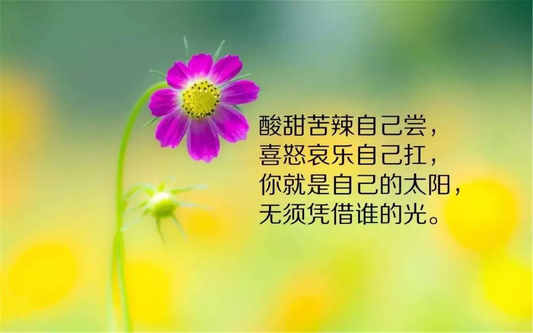 陌上桃花开