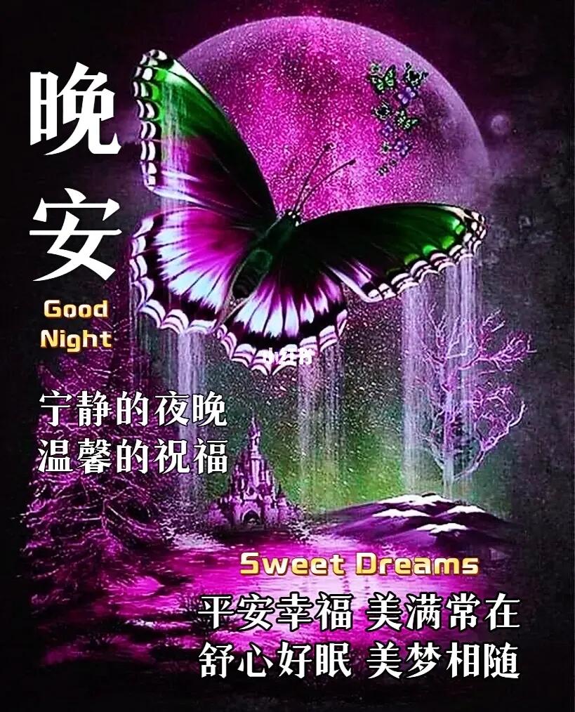 冬夜温馨问候至，美好夜晚愿您心旷神怡。